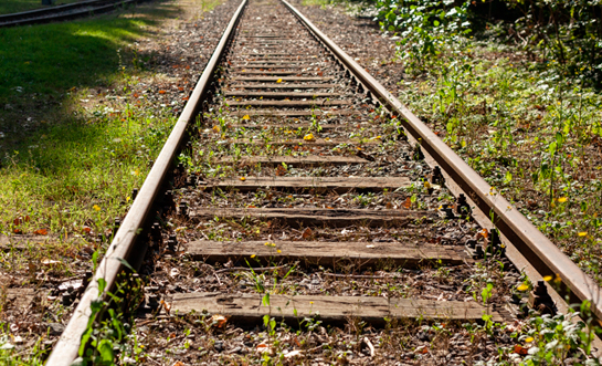 >Limpieza de perímetros de redes de ferrocarriles